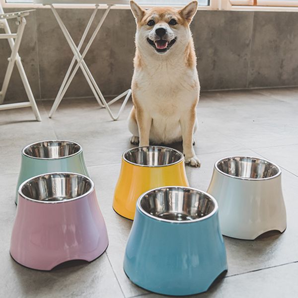 Plato elevado para Perro en cerámica PC36