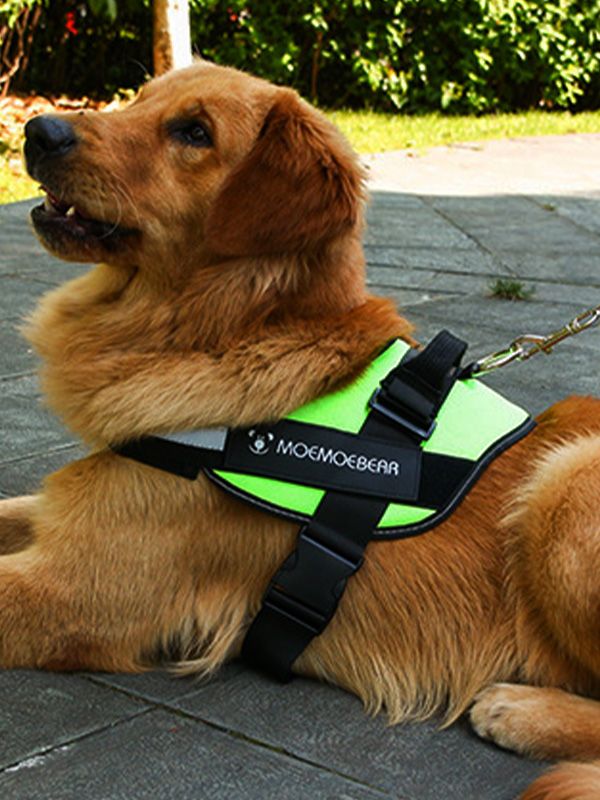 Arnés anti tirones para perro PA70
