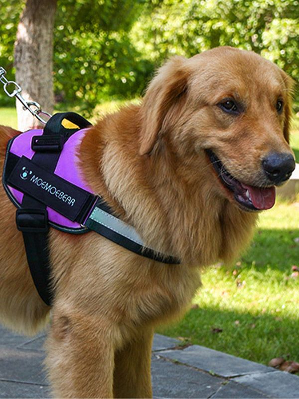 Arnés anti tirones para perro PA70