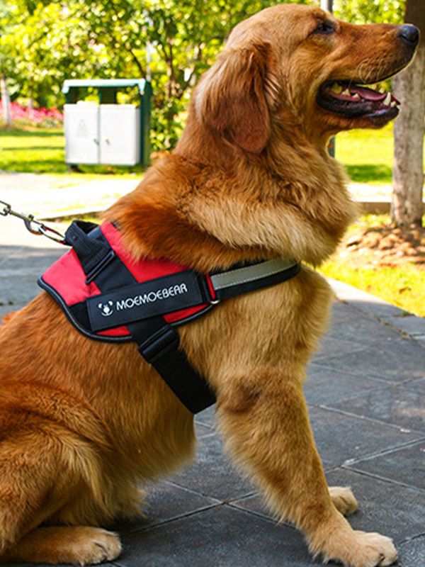 Arnés anti tirones para perro PA70