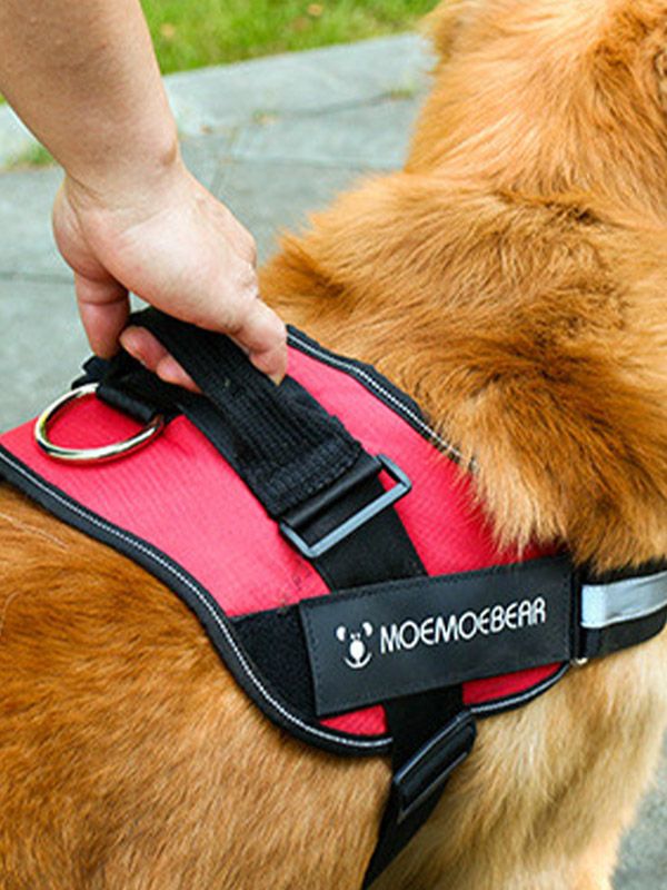 Arnés anti tirones para perro PA70