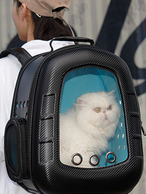 Maletas para gatos olx best sale