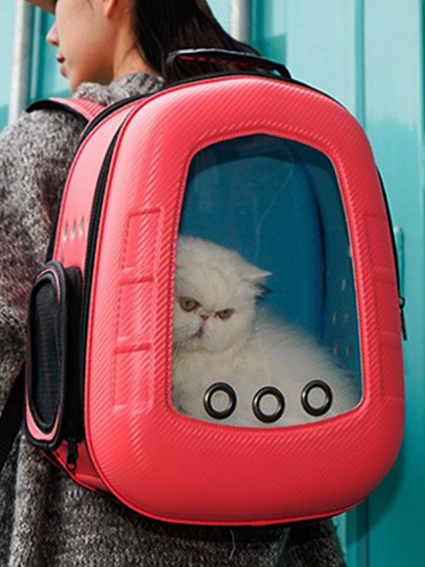 Morral para gatos outlet