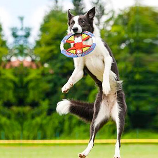 Frisbee masticable para Perros con lazo y felpa Pj76